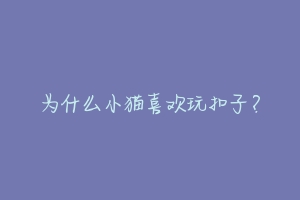 为什么小猫喜欢玩扣子?-动物百科