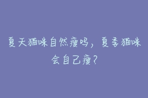 夏天猫咪自然瘦吗,夏季猫咪会自己瘦?-动物百科