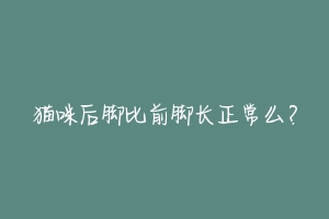 猫咪后脚比前脚长正常么?-动物百科