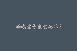 猫吃橘子皮会死吗?-动物百科