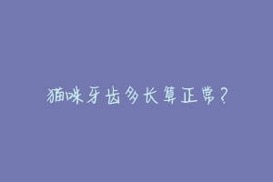 猫咪牙齿多长算正常?-动物百科