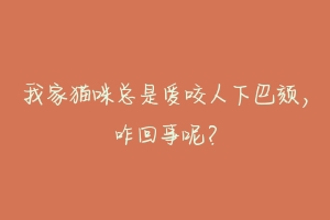 我家猫咪总是爱咬人下巴颏,咋回事呢?-动物百科