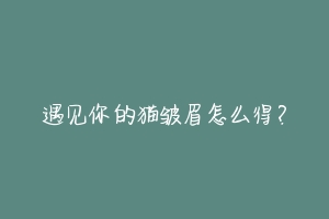 遇见你的猫皱眉怎么得?-动物百科