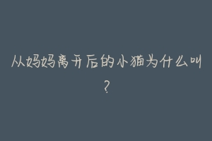从妈妈离开后的小猫为什么叫?-动物百科