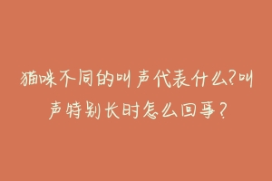 猫咪不同的叫声代表什么?叫声特别长时怎么回事?-动物百科