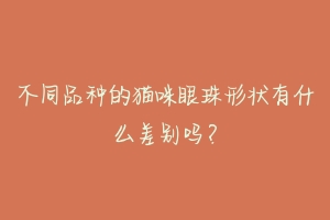 不同品种的猫咪眼珠形状有什么差别吗?-动物百科