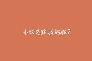 小猫总踩我的脸?-动物百科