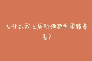 为什么我上厕所猫猫也要蹲着看?-动物百科