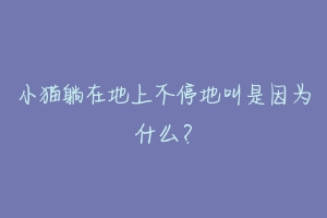 小猫躺在地上不停地叫是因为什么?-动物百科