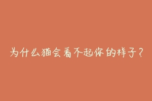 为什么猫会看不起你的样子?-动物百科