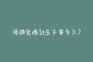 母猫宫缩到生产要多久?-动物百科