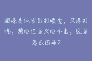 猫咪类似发出打喷嚏,又像打嗝,想呕但是又呕不出,这是怎么回事?-动物百科