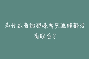 为什么有的猫咪两只眼睛都没有眼白?-动物百科