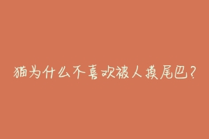 猫为什么不喜欢被人摸尾巴?-动物百科