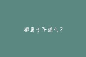 猫鼻子不通气?-动物百科