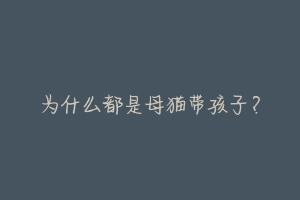 为什么都是母猫带孩子?-动物百科