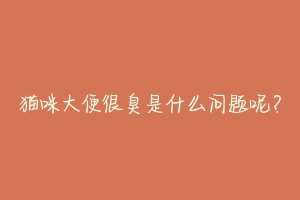 猫咪大便很臭是什么问题呢?-动物百科