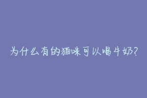 为什么有的猫咪可以喝牛奶?-动物百科