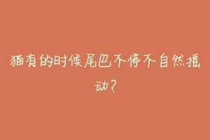 猫有的时候尾巴不停不自然摇动?-动物百科