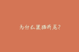 为什么黑猫折尾?-动物百科