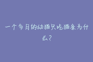 一个多月的幼猫只吃猫条为什么?-动物百科