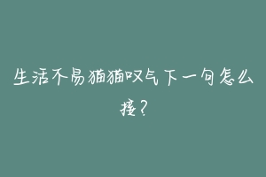 生活不易猫猫叹气下一句怎么接?-动物百科