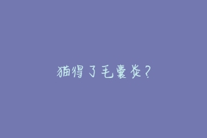猫得了毛囊炎?-动物百科