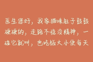 医生您好,我家猫咪肚子鼓鼓硬硬的,走路不稳没精神,一碰它就叫,也吃饭大小便每天都有,它怎么了?-动物百科