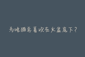 为啥猫总喜欢在火盆底下?-动物百科