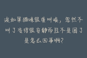诶如果猫咪很爱叫唤,忽然不叫了变得很安静而且不是困了是怎么回事啊?-动物百科
