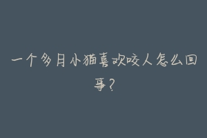一个多月小猫喜欢咬人怎么回事?-动物百科