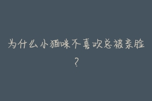 为什么小猫咪不喜欢总被亲脸?-动物百科
