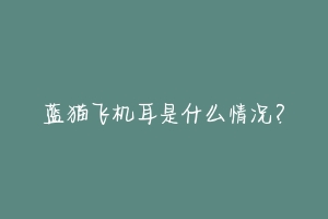蓝猫飞机耳是什么情况?-动物百科