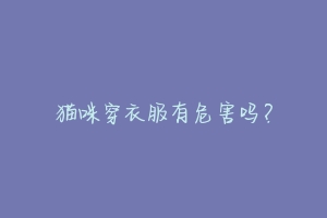 猫咪穿衣服有危害吗?-动物百科