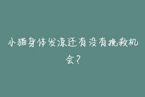 小猫身体发凉还有没有挽救机会?-动物百科