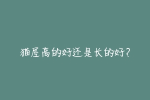猫屋高的好还是长的好?-动物百科
