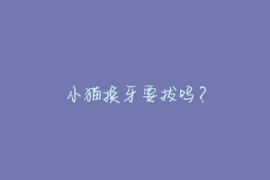 小猫换牙要拔吗?-动物百科