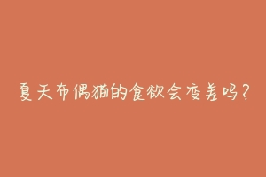 夏天布偶猫的食欲会变差吗?-动物百科