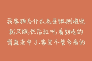 我家猫为什么老是饿.刚喂饱就又饿,然后狂叫,看到吃的简直没命了.家里不管多高的地方它都能上去拿吃的?-动物百科