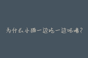 为什么小猫一边吃一边咕噜?-动物百科