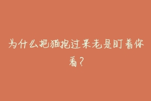 为什么把猫抱过来老是盯着你看？-动物百科