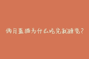 俩月蓝猫为什么吃完就睡觉?-动物百科