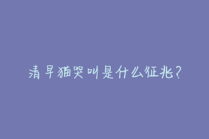 清早猫哭叫是什么征兆?-动物百科