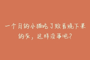 一个月的小猫吃了蚊香烧下来的灰,这样没事吧?-动物百科