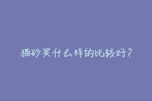 猫砂买什么样的比较好?-动物百科