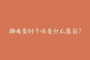 猫咪有时干呕是什么原因?-动物百科