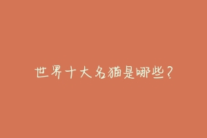 世界十大名猫是哪些?-动物百科
