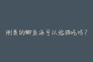 刚煮的鲫鱼汤可以给猫吃吗?-动物百科
