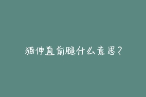 猫伸直前腿什么意思?-动物百科