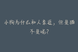 小狗为什么和人亲近,但是猫不是呢?-动物百科